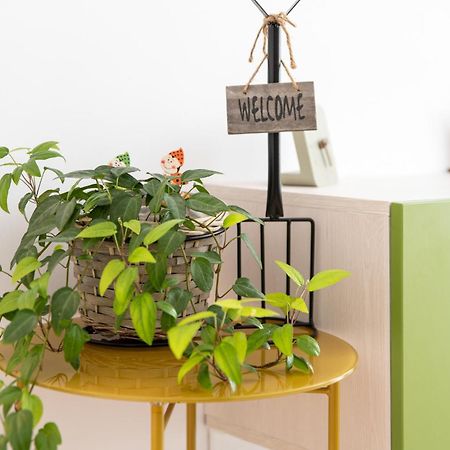 Springhome - Cozy Apartment With Balcony & Parking Braşov Dış mekan fotoğraf