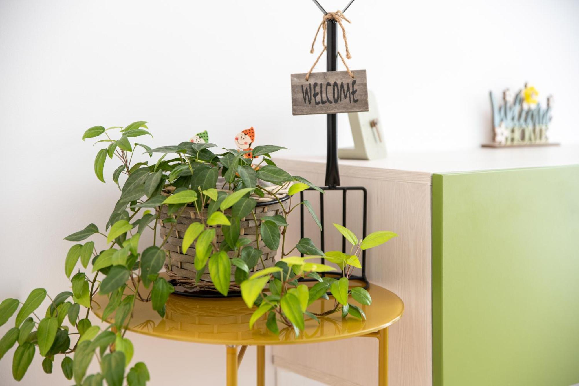 Springhome - Cozy Apartment With Balcony & Parking Braşov Dış mekan fotoğraf